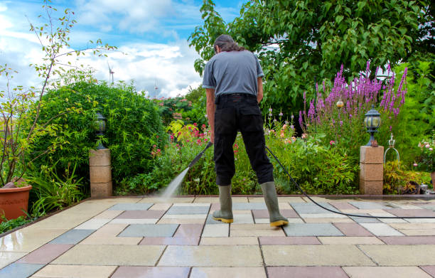 Best Winterizing Services  in Fairview, NC